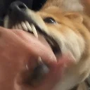 滨河路第三食堂