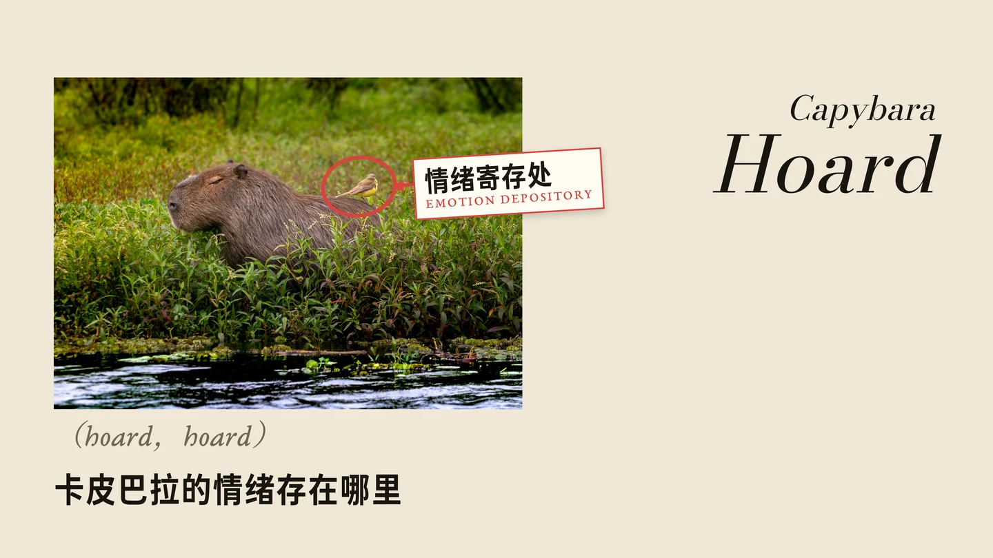 卡皮巴拉的情绪存在哪里(hoard)