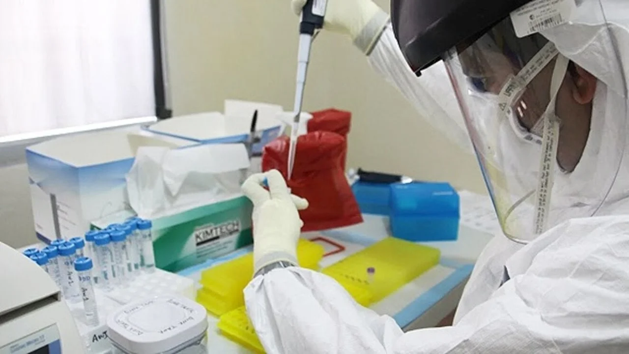 Ebola PHEIC, Hantavirus at Sea, and WHO's Diabetes Access Push — Global Health Digest, May 19