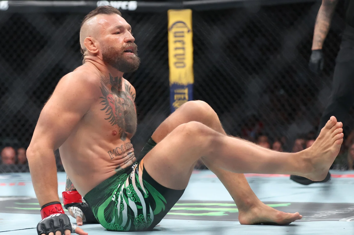 McGregor's knee ends UFC 329