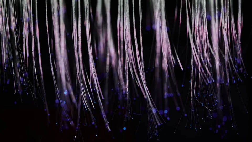 自由能·幻觉