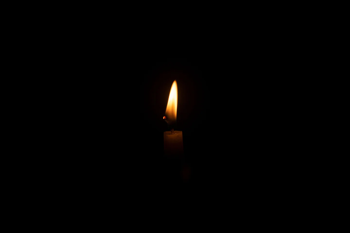 Gross 2009 — "Midnight Candles"