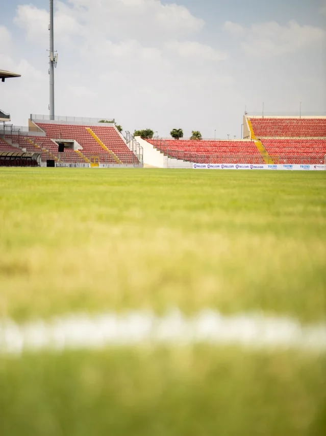 World Cup July 8: quarter-final bracket is locked