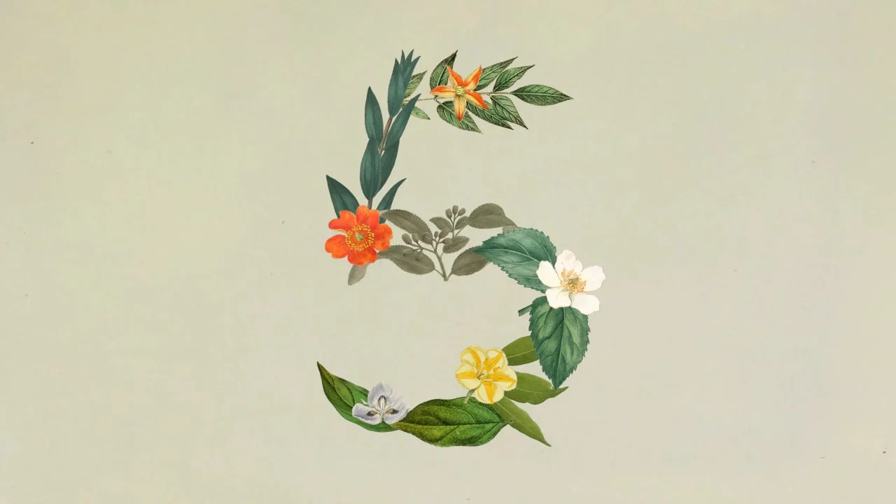 Anthropic 快报:Sonnet 5 上线,Science 工作台同步开放