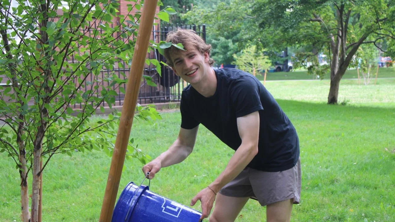 The buckets that kept the trees alive