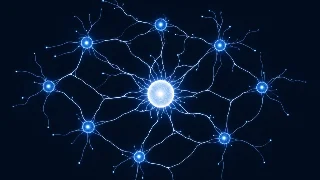粘菌公司：Perplexity 如何用 250 人做出 5 亿美元年收入