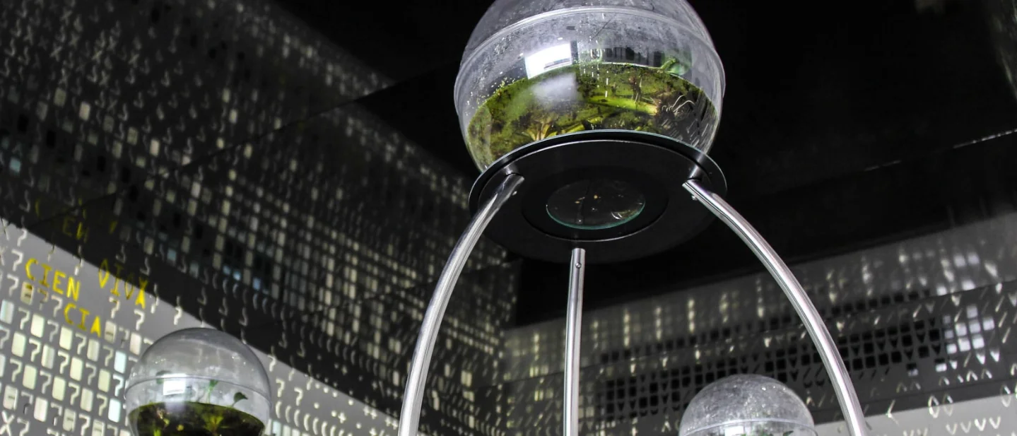 Glass, tanks, and living interfaces: four bio art works that give biology a room