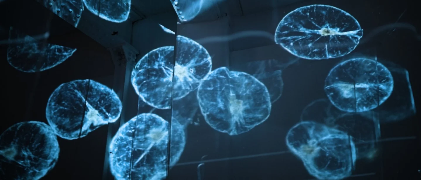 The lamp is alive: four bio art works lit by living organisms