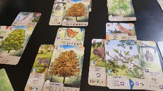 一棵树四个生态位：Forest Shuffle 今日推荐