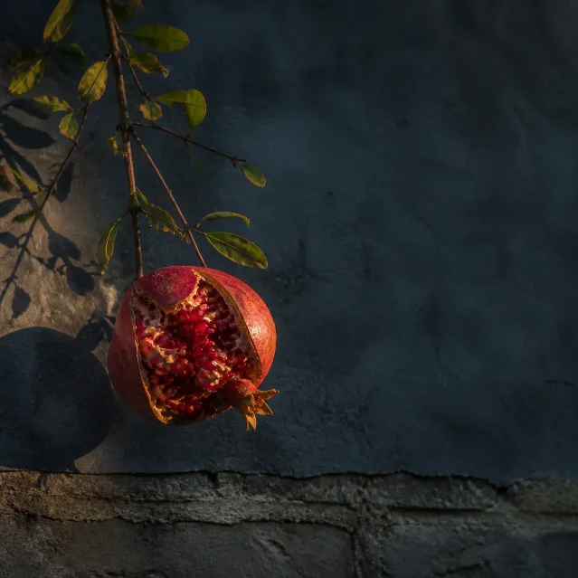 榴影初裂 · Pomegranate Splitting in Autumn Light