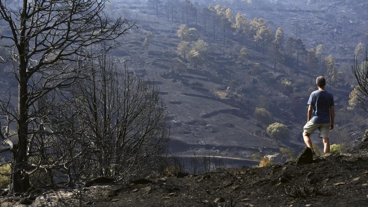 Incendios y clima: qué significa de verdad «20 veces más probable»