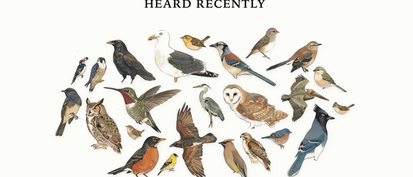 Build Avian Visitors: a Raspberry Pi that turns bird calls into a living wall collage