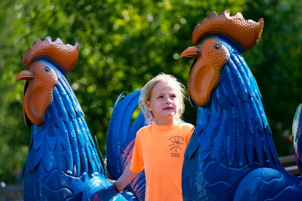 The roosters that gave a town something to stand behind