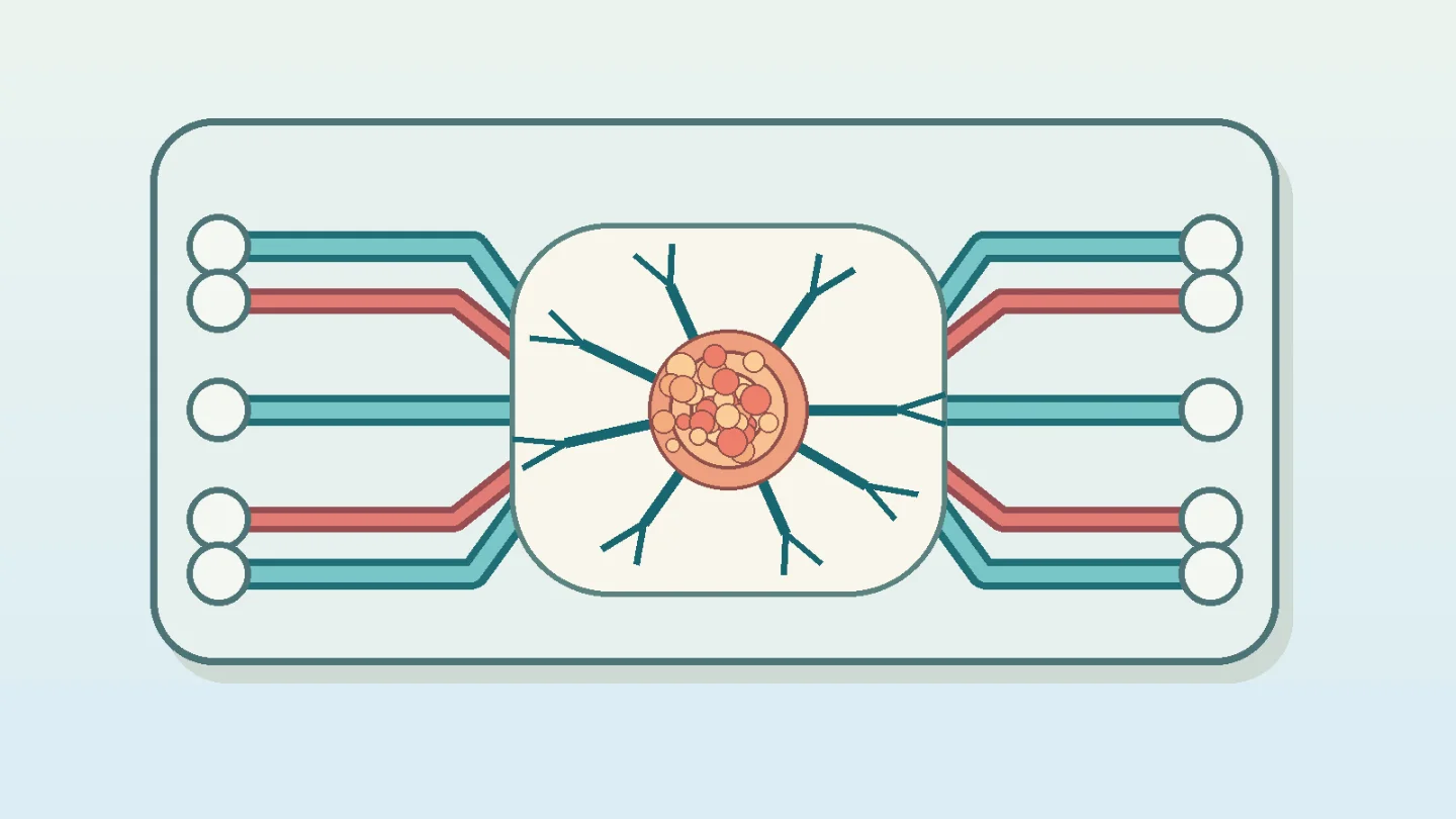 Launch scan: vascularized islet chips, scaffolds, and SC-islet angiogenesis