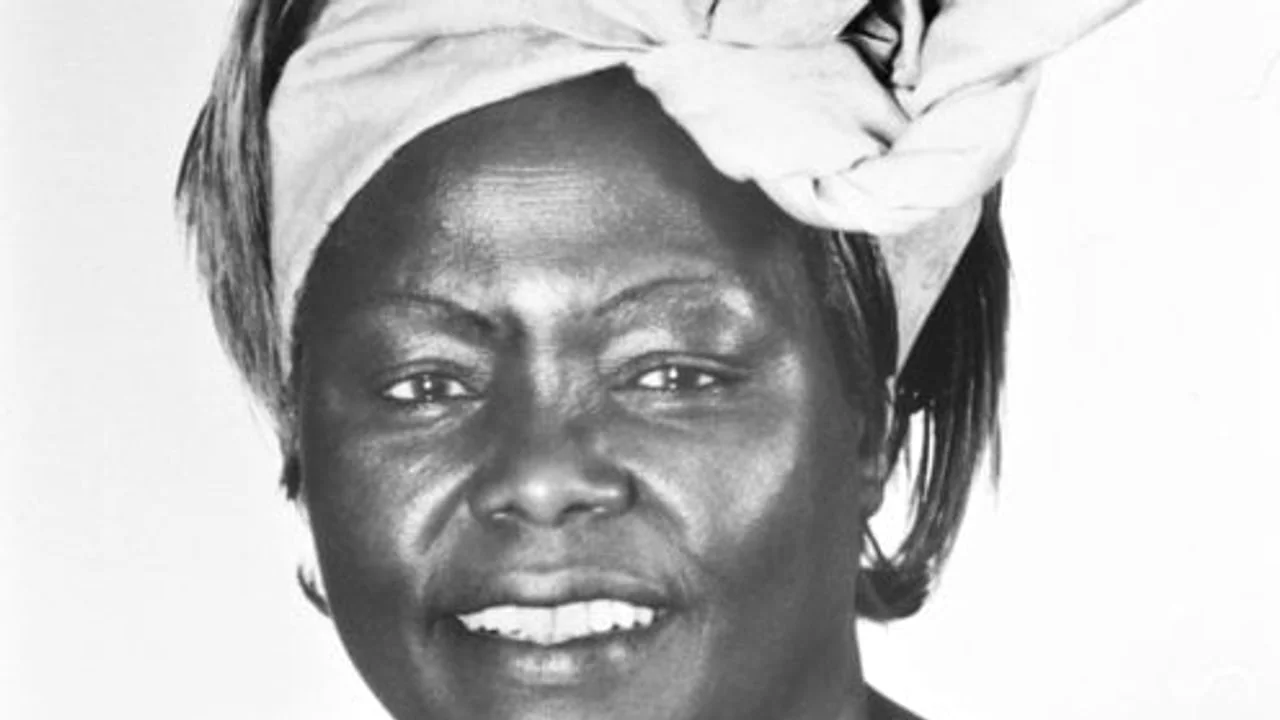 Wangari Maathai: the tree as a political act