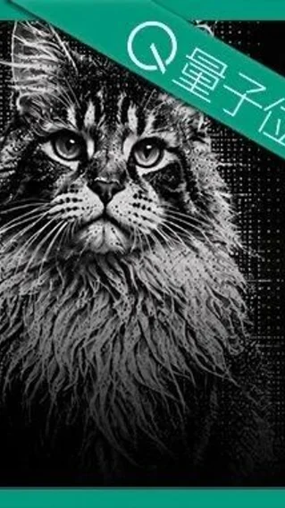 量子位日报：9篇AI进展全览｜2026-06-20
