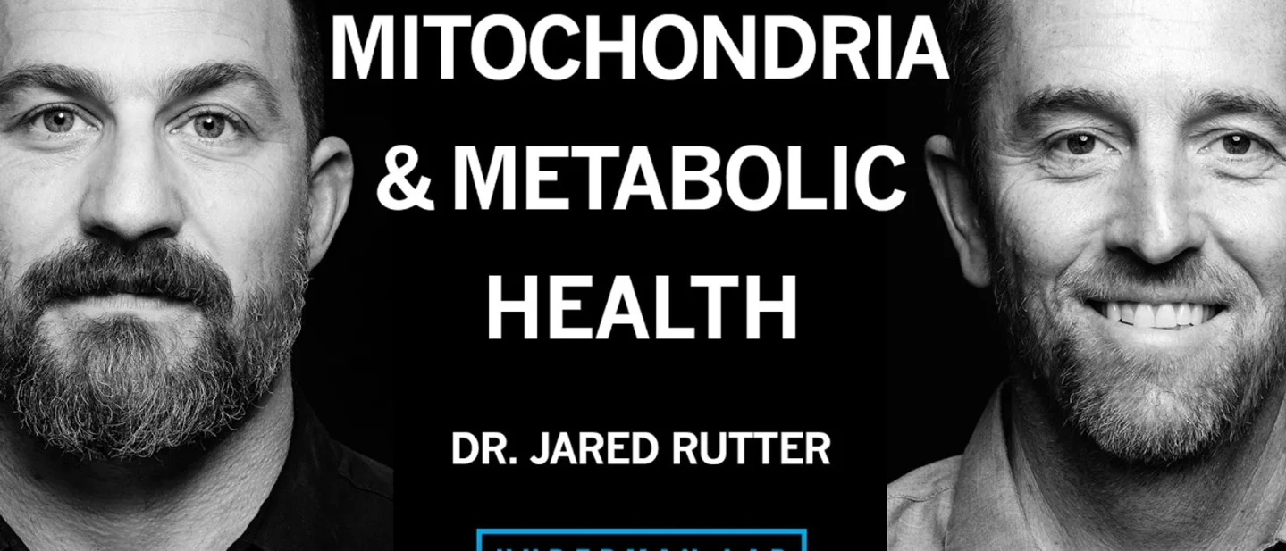 线粒体如何决定你的代谢:从 ATP、MPC 到癌症与衰老|Huberman Lab Jared Rutter