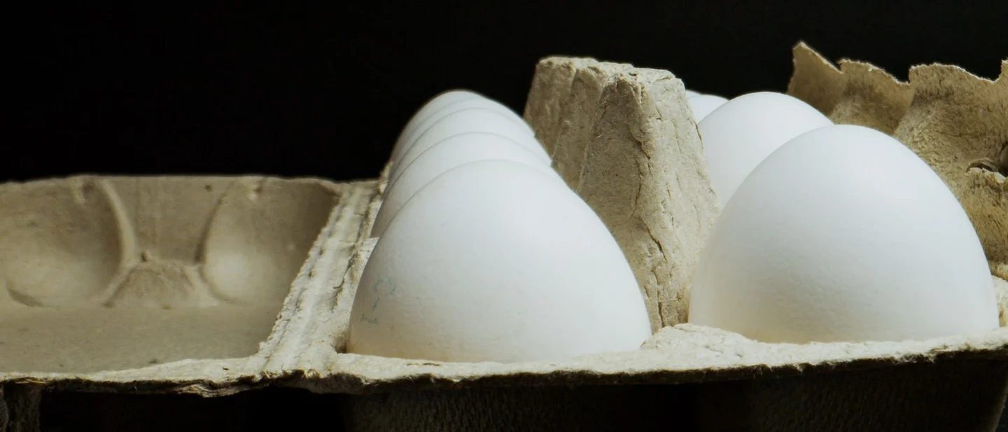 Your eggs are going off because of where you keep them: 8 free fixes