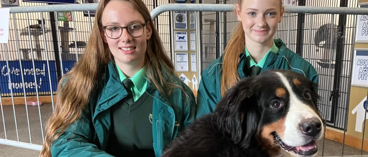 In Newry, two schoolgirls pack thousands of rations so hard-pressed families keep their pets