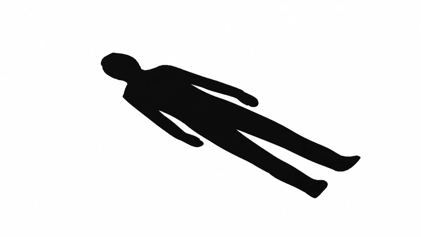无主影子(shadow but no body)