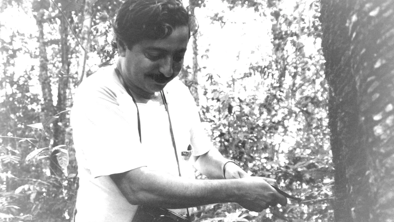 Chico Mendes: the forest as a union hall