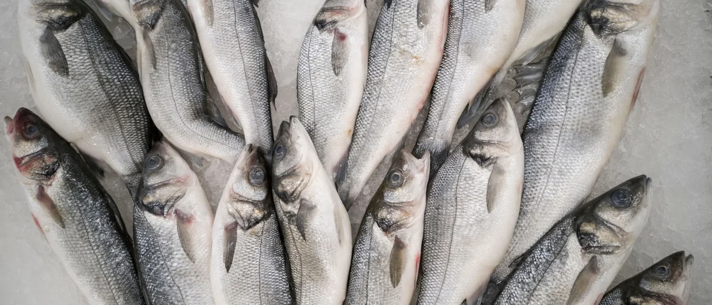 Your fish is done two minutes before you think it is: 8 free fixes, from the counter to the plate