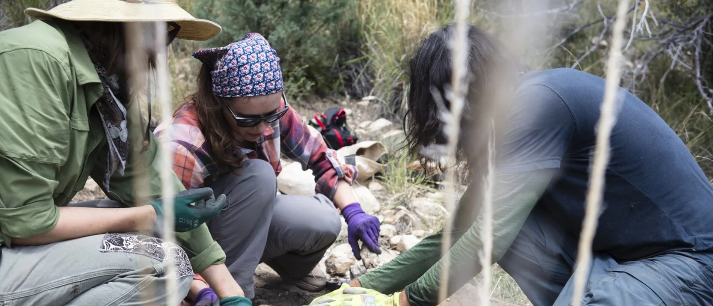 On Mount Lemmon, 10 volunteers turn loose rocks into small dams