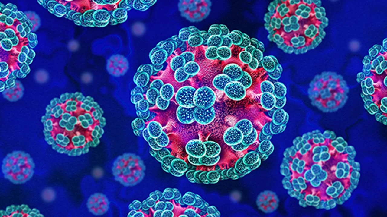 Hantavirus Global Situational Briefing — June 18, 2026
