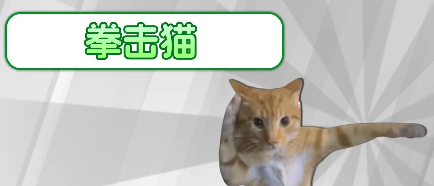「拳击猫」是什么梗？满世界都在套用的打拳猫，动作其实来自国内一位拳击博主