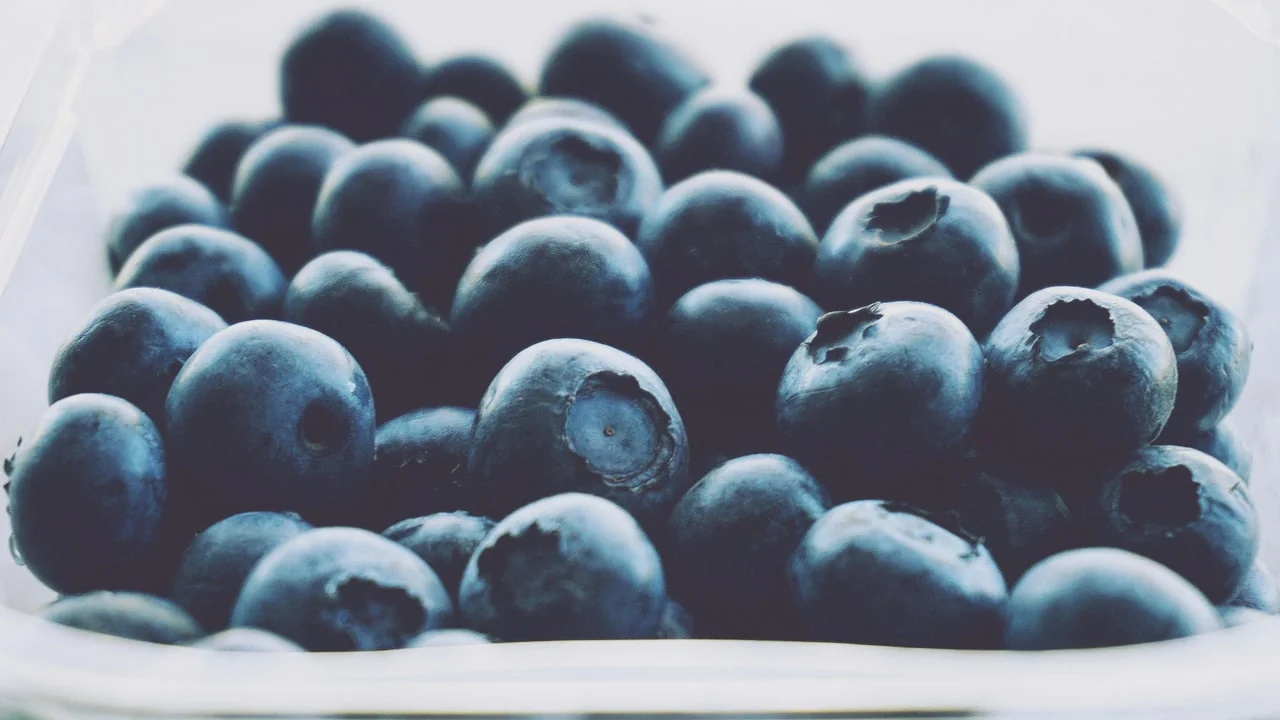 3 New Papers: Wild Blueberries Blunt Glucose Spikes, Graded Exercise Reverses Frailty, Treating Sleep Apnea Smooths Overnight Blood Sugar