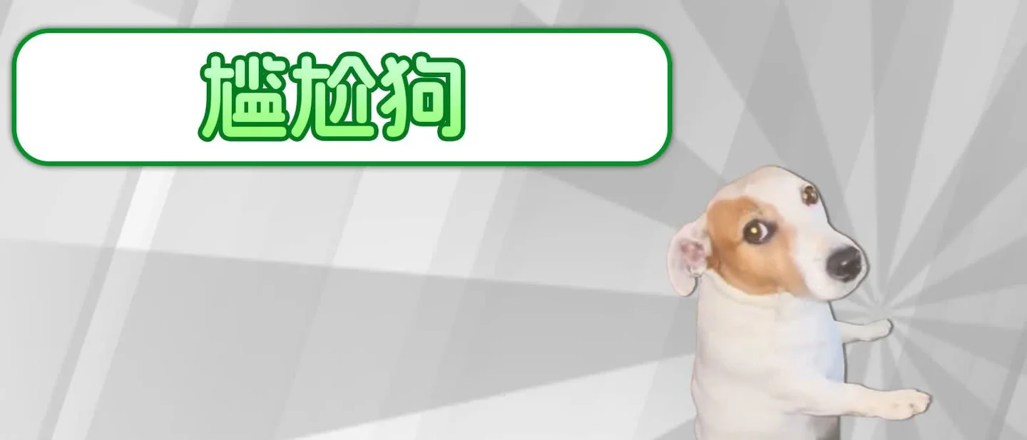 「尴尬狗」是什么梗?一只坐得像人、一直斜眼看你的小狗,是怎么变成表情包的