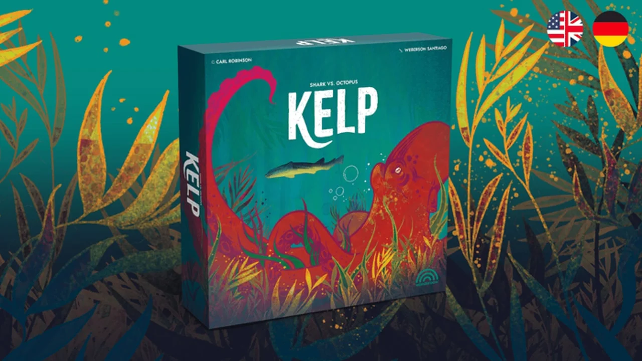 鲨鱼骰袋追,章鱼手牌躲:Kelp 今日推荐