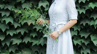 首发样例｜草木系视觉资料库：穿搭、女性风格与植物色