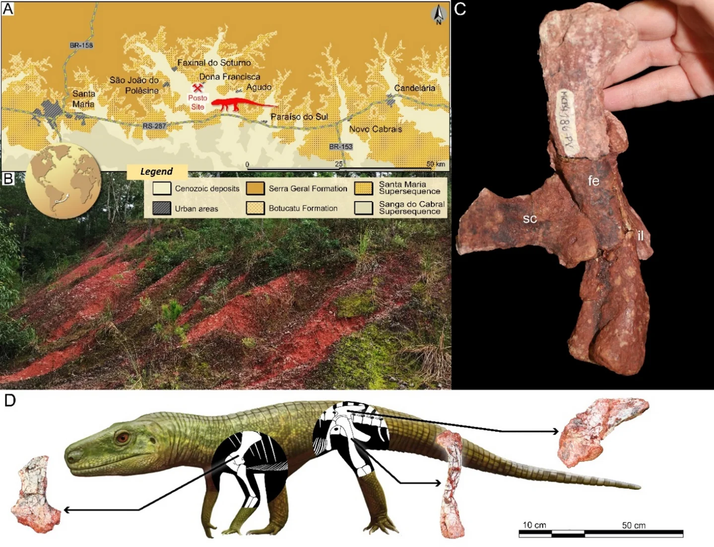 48 taxonomic novelties named June 10–11: a Triassic fossil with a 20-year cold case, 16 Moroccan spiders, and a record single-day count