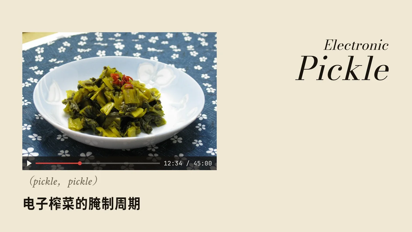电子榨菜的腌制周期(pickle)