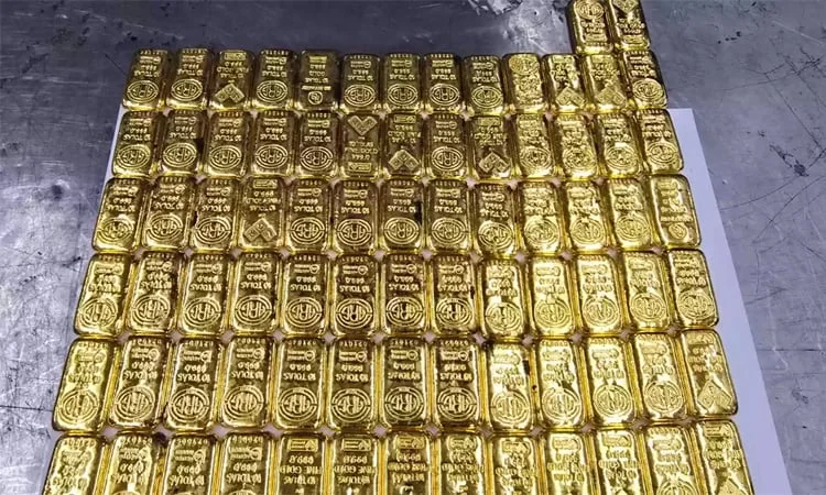 80 gold bars, six turtles, and a first-of-its-kind moth