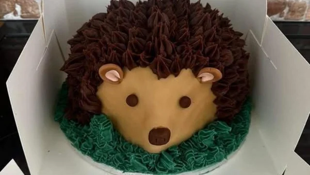 A hedgehog-shaped chocolate cake in a white box, piped with brown frosting spikes, a tan fondant face and green frosting around the base