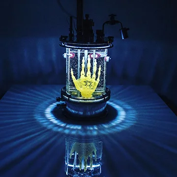 Regenerative Reliquary sculpture – a hydrogel scaffold shaped as a human hand with stem cells grown to form bone tissue, suspended in a vessel.
