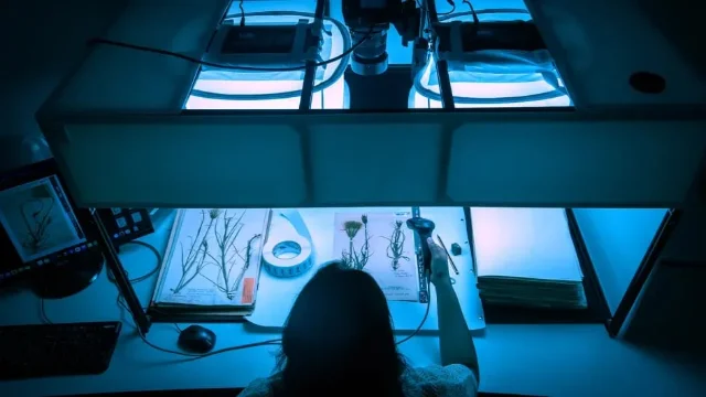 植物标本数字化工作现场