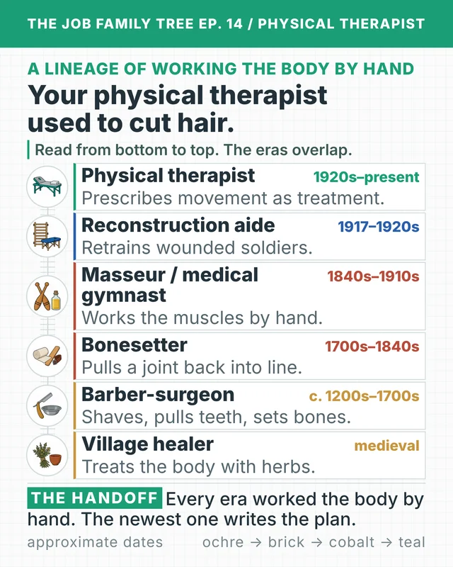 Your physical therapist used to cut hair.