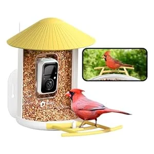 NETVUE Birdfy Smart Bird Feeder yellow variant with camera module, mounted on a post
