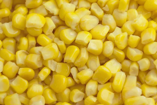 Pile of yellow corn kernels