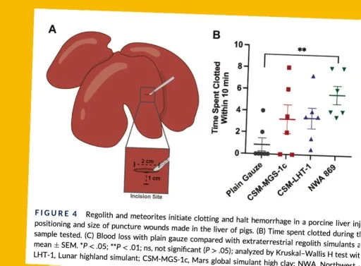 Scientific figure showing a diagram of a pig liver with a puncture wound (panel A) and a scatter plot comparing clotting times for plain gauze, CSM-MGS-1c, CSM-LHT-1, and NWA 869 meteorite over 10 minutes (panel B), with NWA 869 showing statistically significant superiority