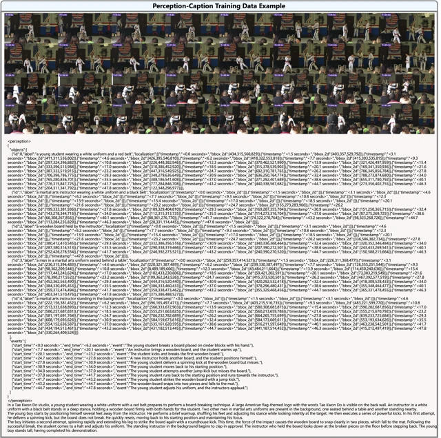 感知与 caption 训练数据示例二