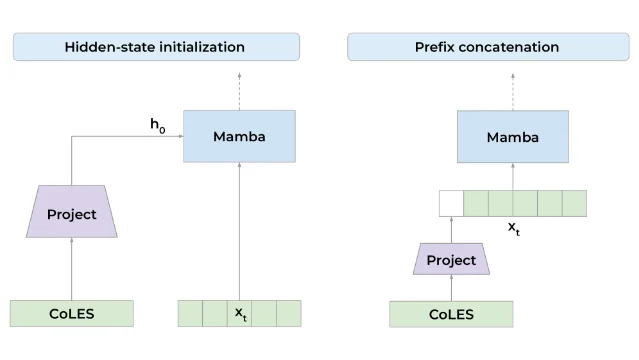 CoLES 与 Mamba 的两种融合方式