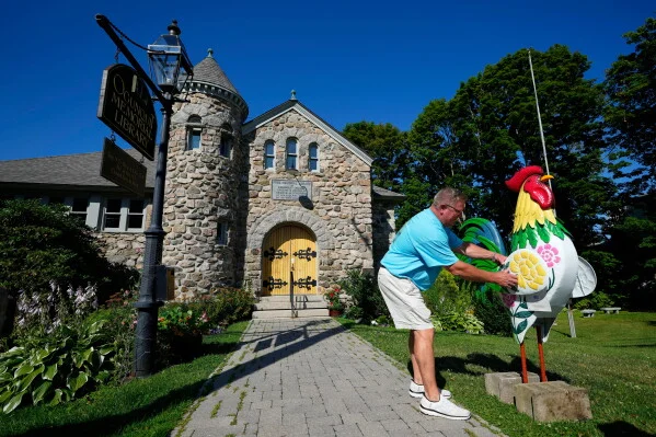 A supporter places a large rooster near the Memorial Library in Ogunquit, Maine.