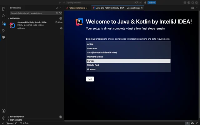 VS Code showing the Java and Kotlin by IntelliJ IDEA setup screen