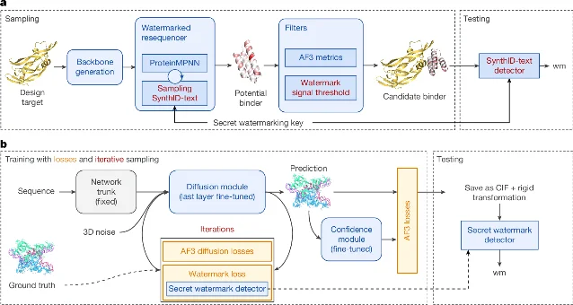 SynthIDBio 序列与结构两侧的流程总览
