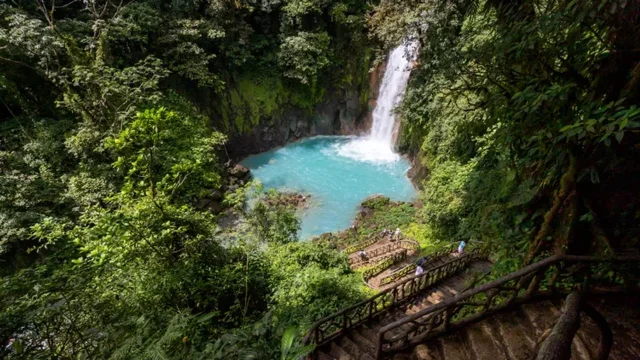Costa Rica coastline and greenery