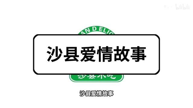 梗百科片头：白色圆角框里是黑色大字「沙县爱情故事」，框上方露出一截绿色弧形标志，框下方露出绿底白字的「沙县小吃」